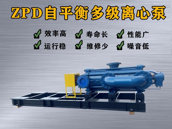 ZPD450-60×（2-10）自平衡多级离心泵