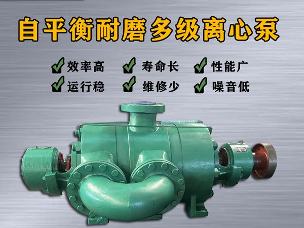 ZPD450-60×（2-10）自平衡多级离心泵